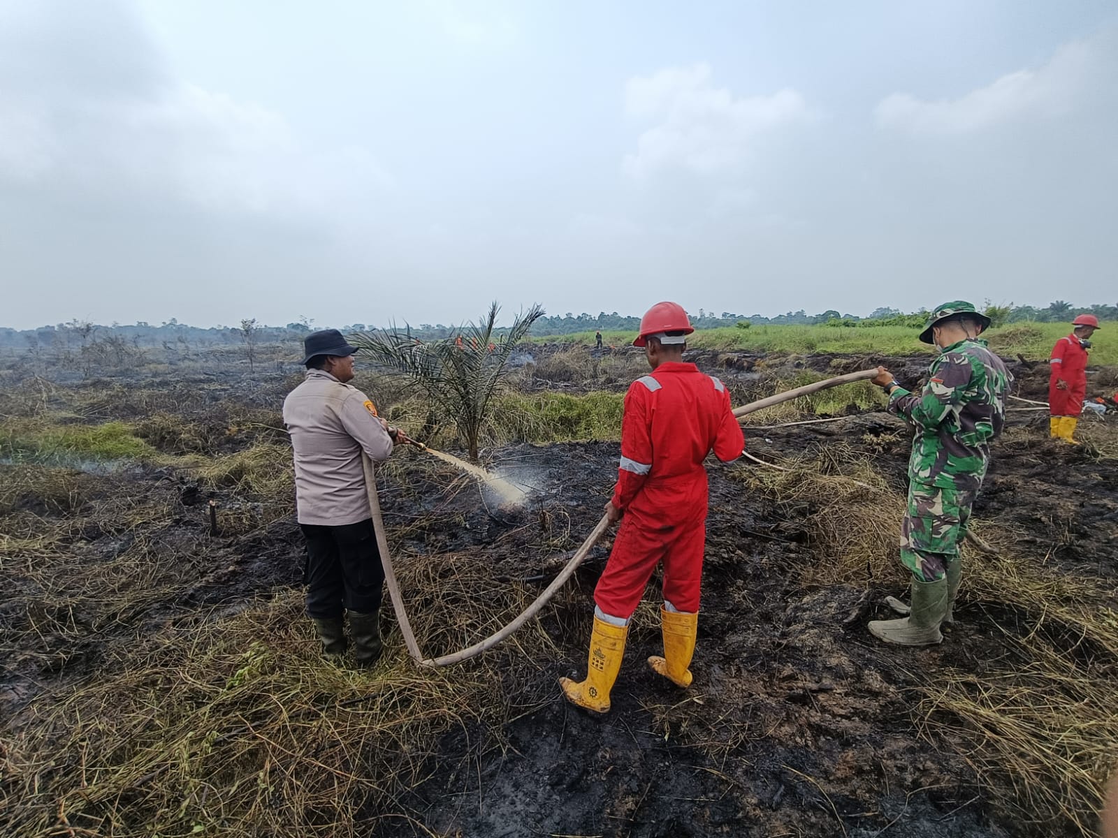 *Update Pemadaman & Pendinginan Karhutla Hari Ke-7 di Desa Terusan Wilkum Polsek Pkl. Kerinci*